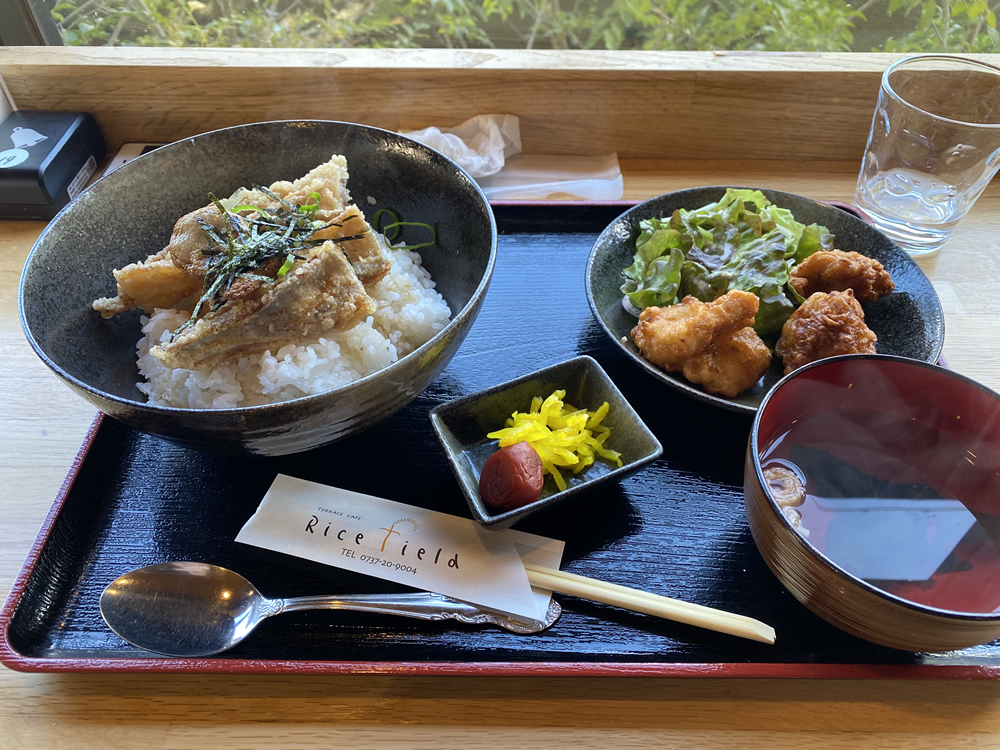 選べる！ミニ郷土丼セット