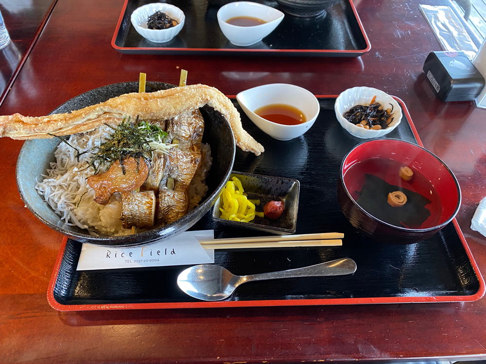 紀州みのしま丼定食