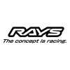 RAYS - The concept is racing.